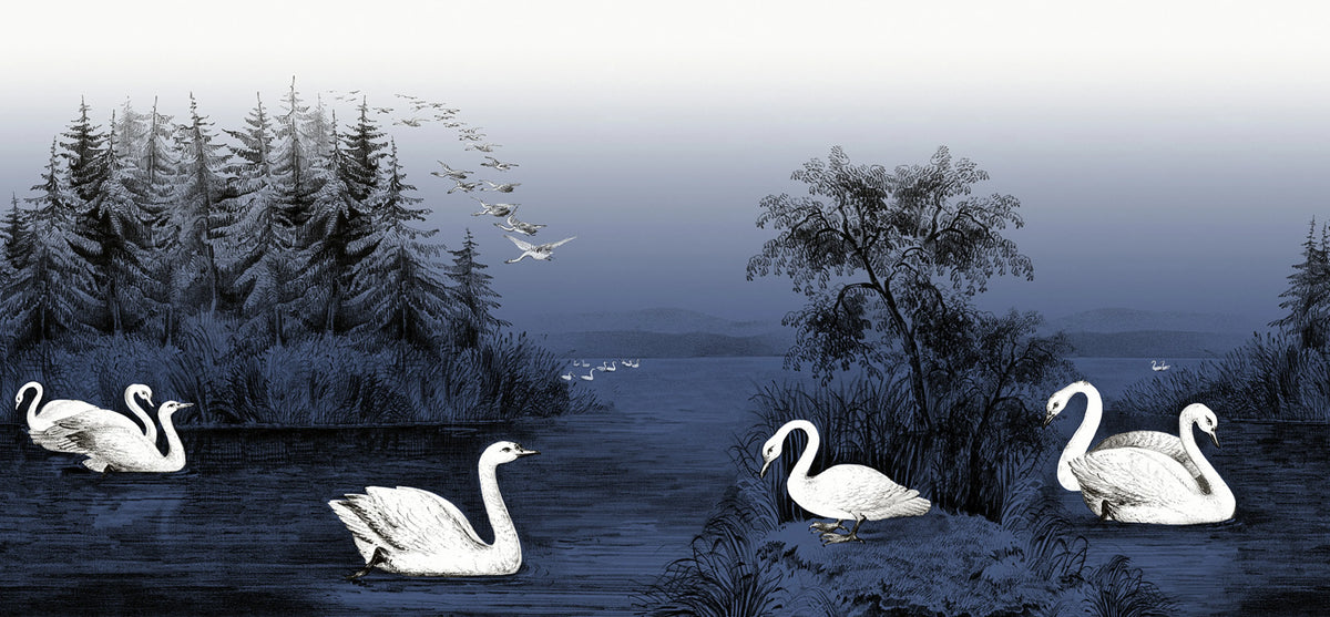 Swan Lake, Nightfall Mural Wallpaper - pure wallpaper artwork