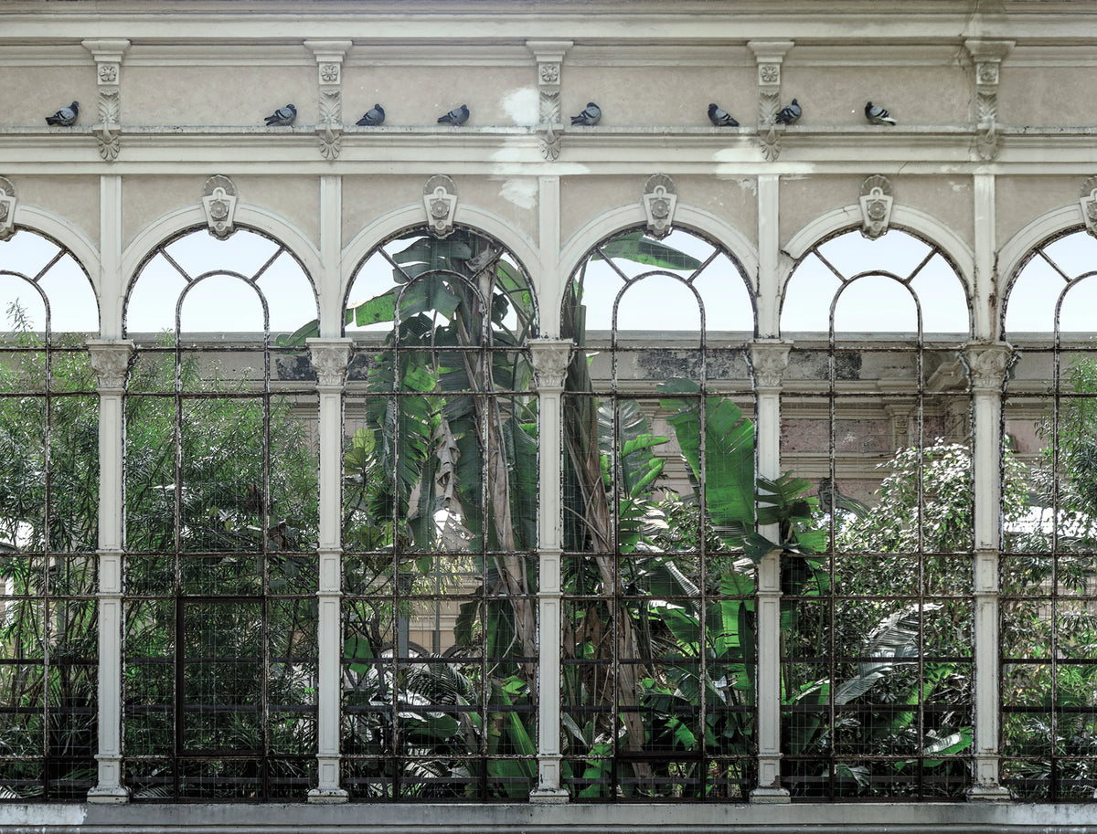 Dove Gardens Mural Wallpaper - pure wallpaper artwork