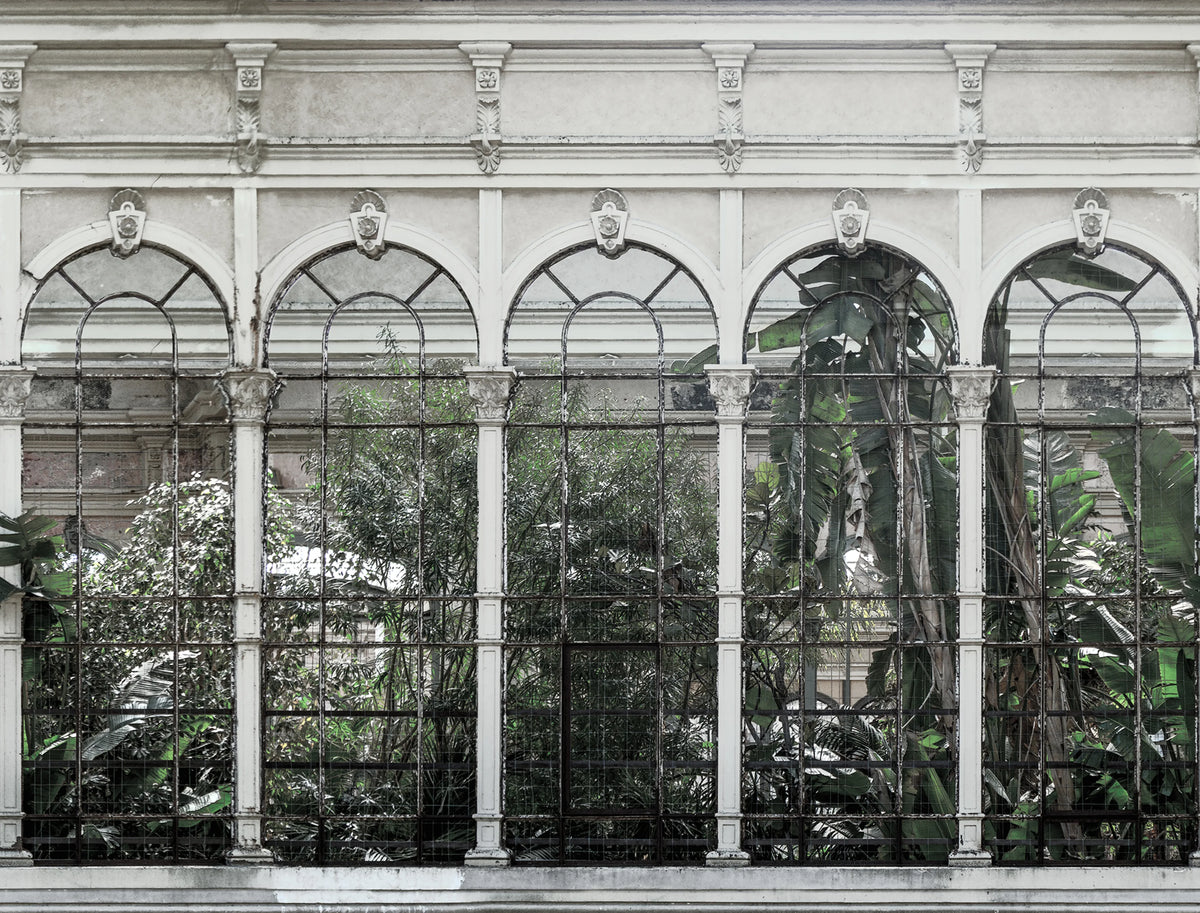 Dove Gardens, White Mural Wallpaper - pure wallpaper artwork