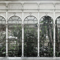 Dove Gardens, White Mural Wallpaper - pure wallpaper artwork