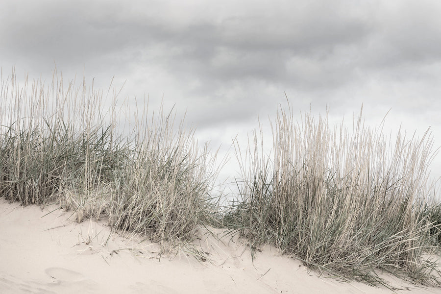 Pale Shore Mural Wallpaper
