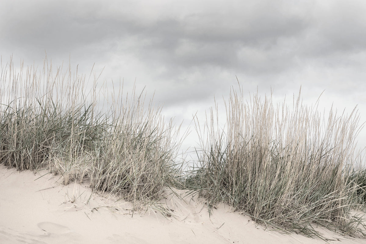 Pale Shore Mural Wallpaper - pure wallpaper artwork