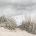Pale Shore Mural Wallpaper - pure wallpaper artwork