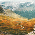 Home of Giants Mural Wallpaper - pure wallpaper artwork