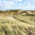 The Wind Mural Wallpaper - pure wallpaper artwork