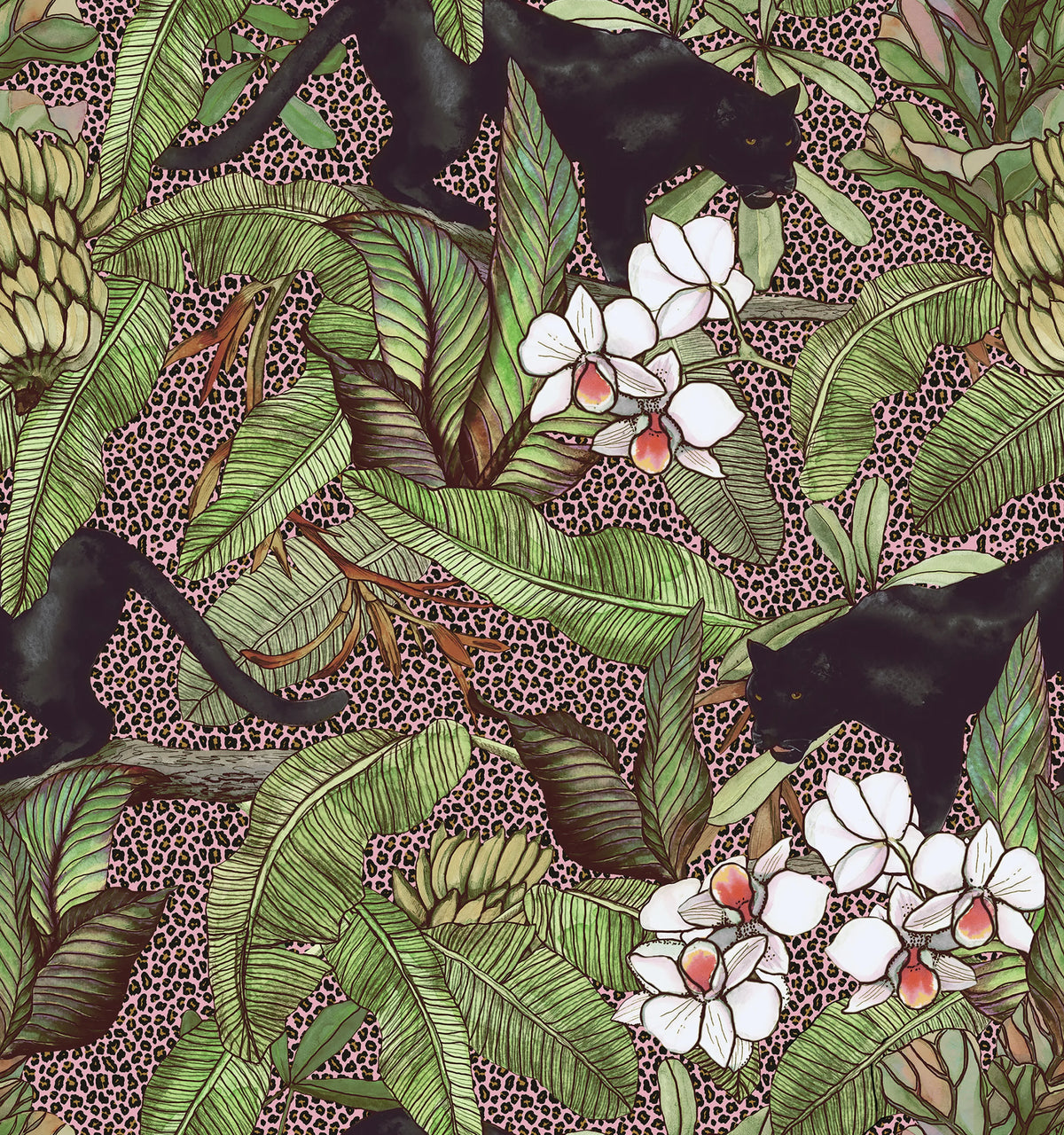 Alluring Panthers, Pink Mural Wallpaper - pure wallpaper artwork