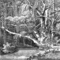 Secret Well Mural Wallpaper - pure wallpaper artwork