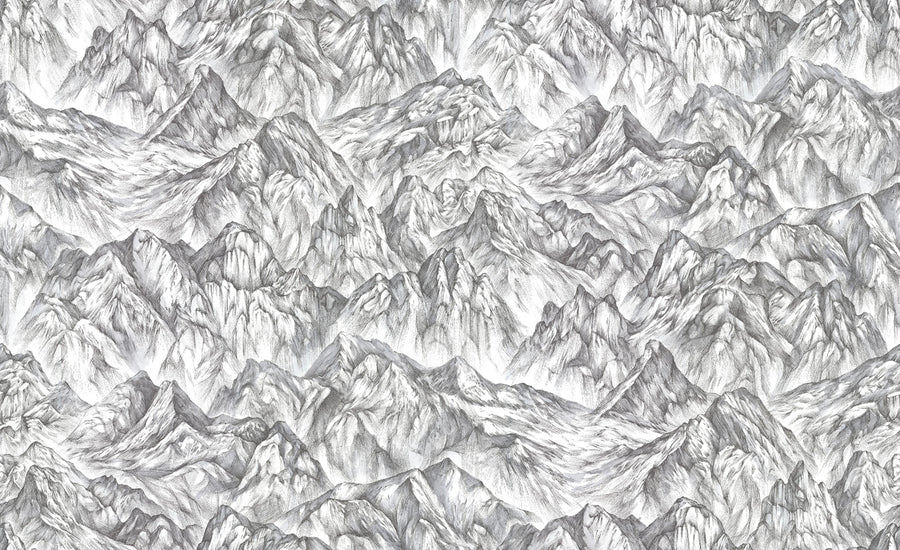 Moon Rock, Surface Mural Wallpaper