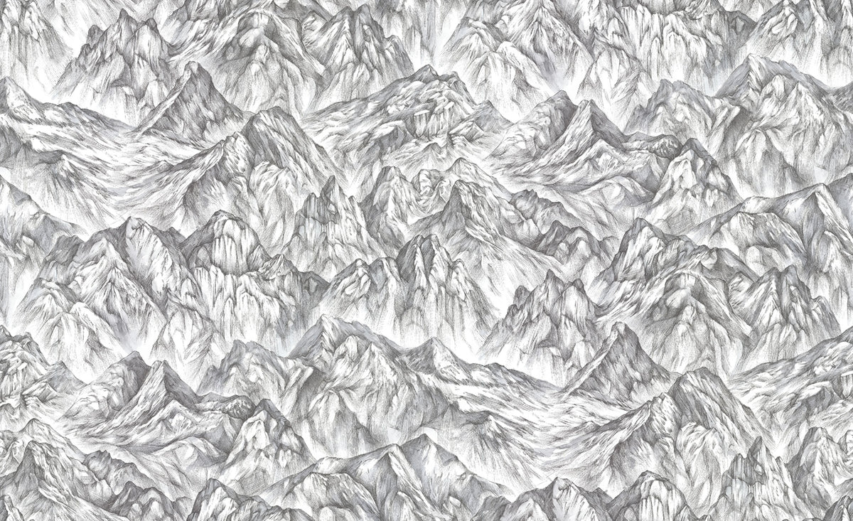 Moon Rock, Surface Mural Wallpaper - pure wallpaper artwork