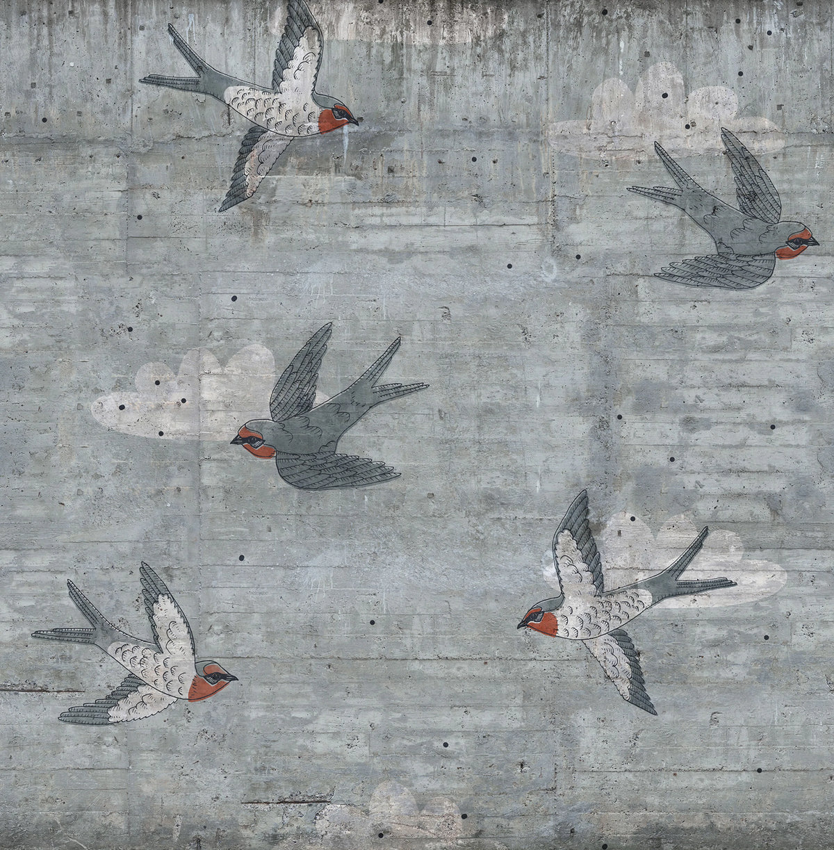 Concrete Art, Swallow Mural Wallpaper - pure wallpaper artwork