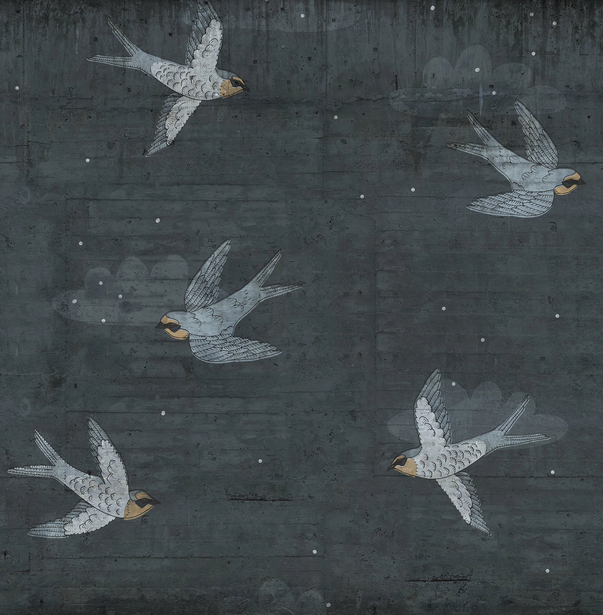 Concrete Art, Night Swallow Mural Wallpaper - pure wallpaper artwork