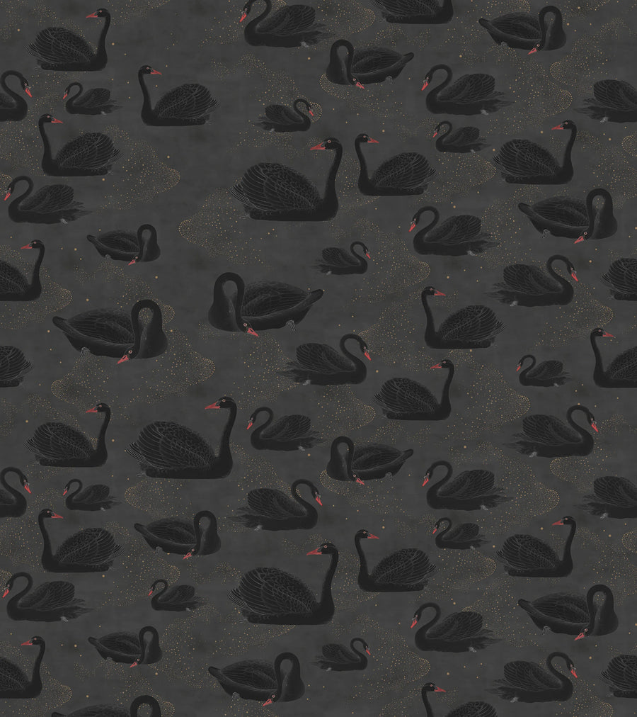 Cygne, Noir Mural Wallpaper