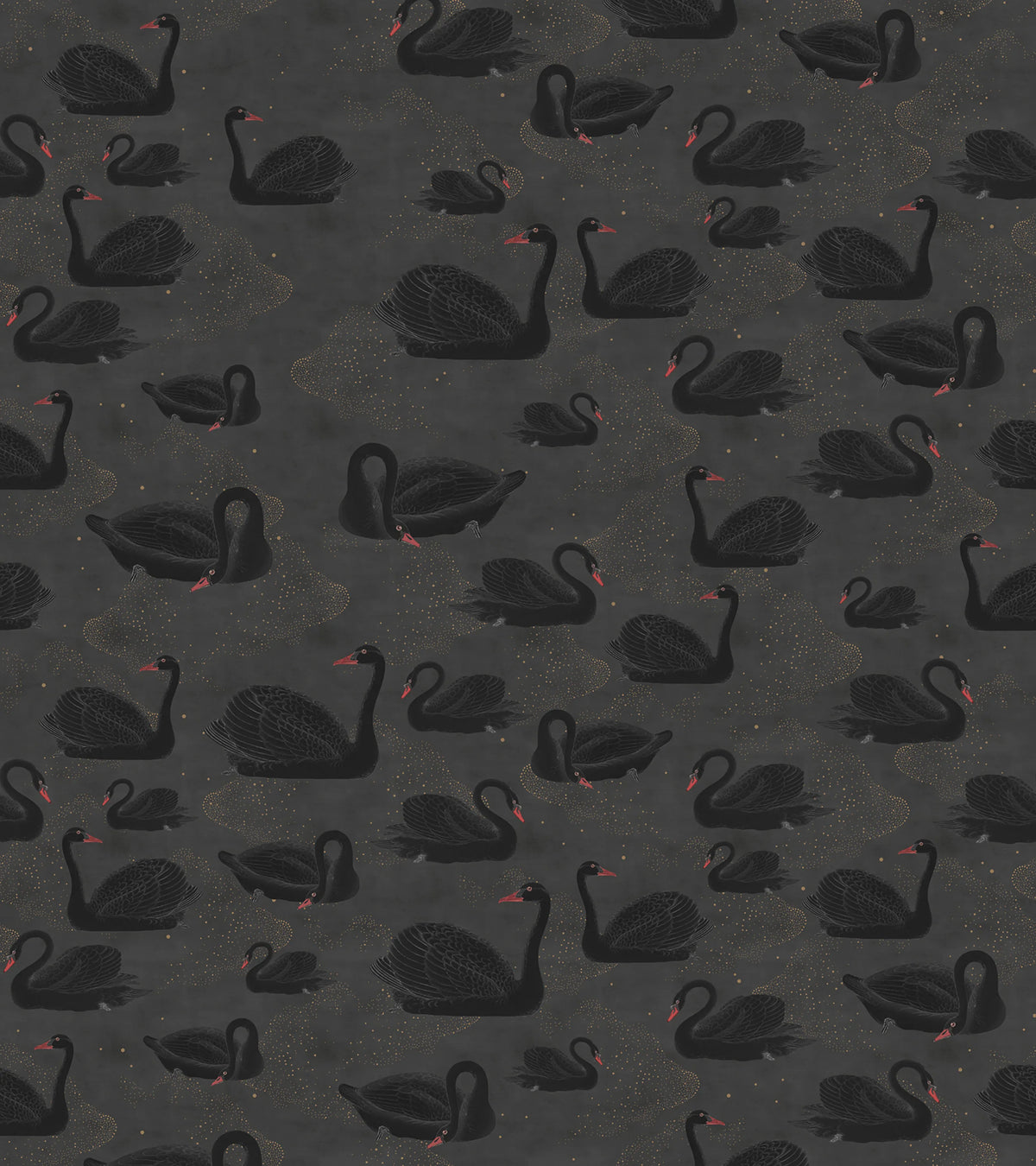 Cygne, Noir Mural Wallpaper - pure wallpaper artwork