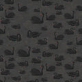 Cygne, Noir Mural Wallpaper - pure wallpaper artwork
