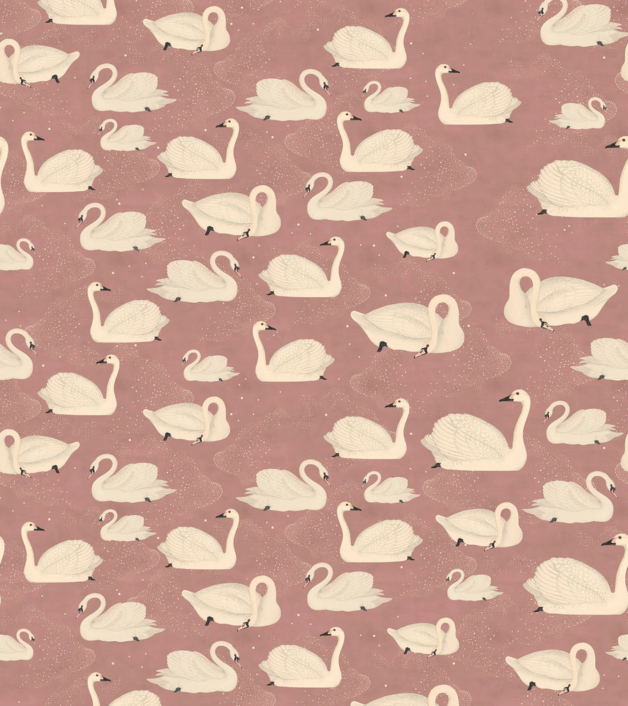 Cygne, Rose Mural Wallpaper