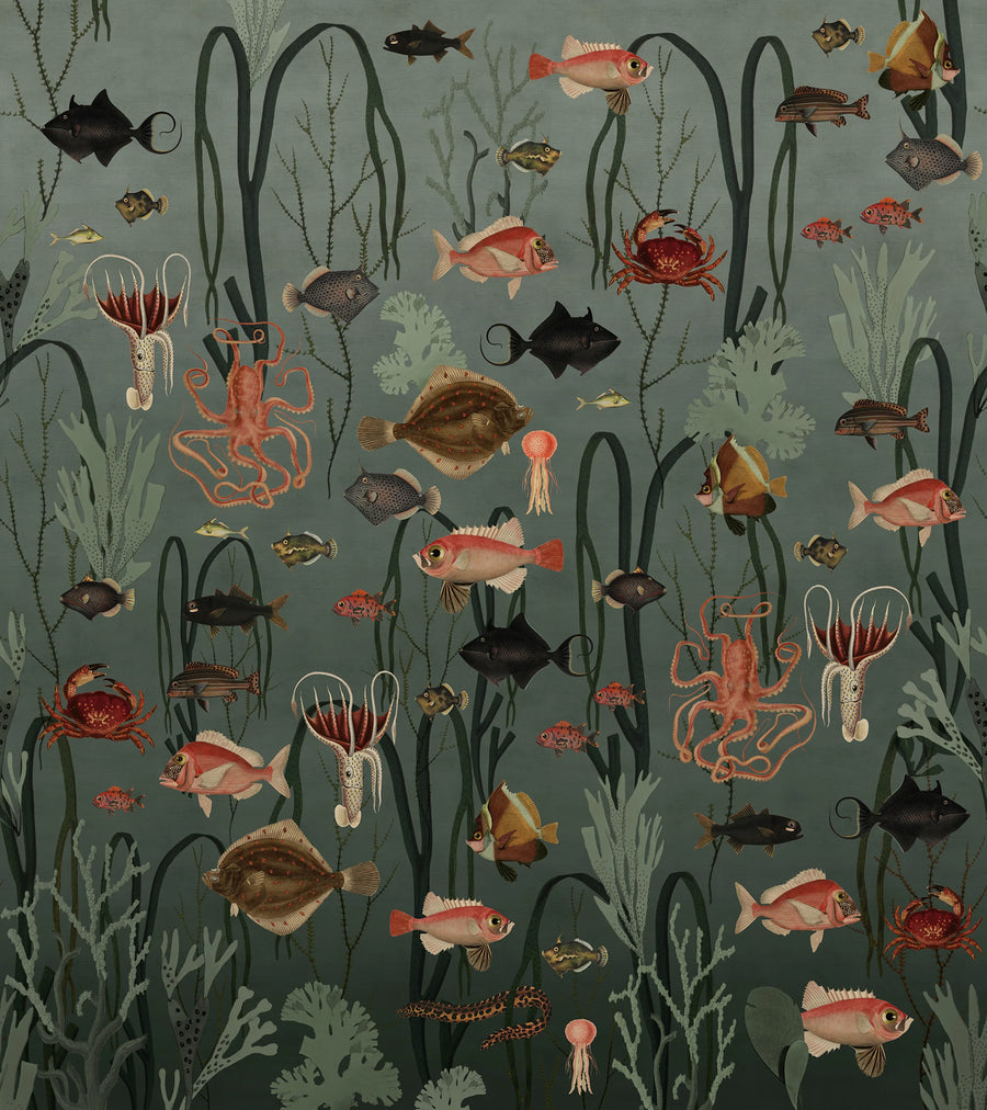 Aquatic Life, Oxygen Mural Wallpaper