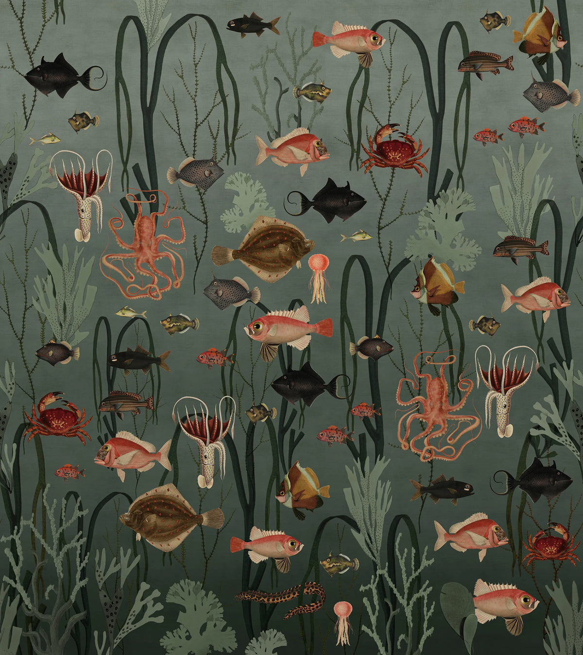 Aquatic Life, Oxygen Mural Wallpaper - pure wallpaper artwork