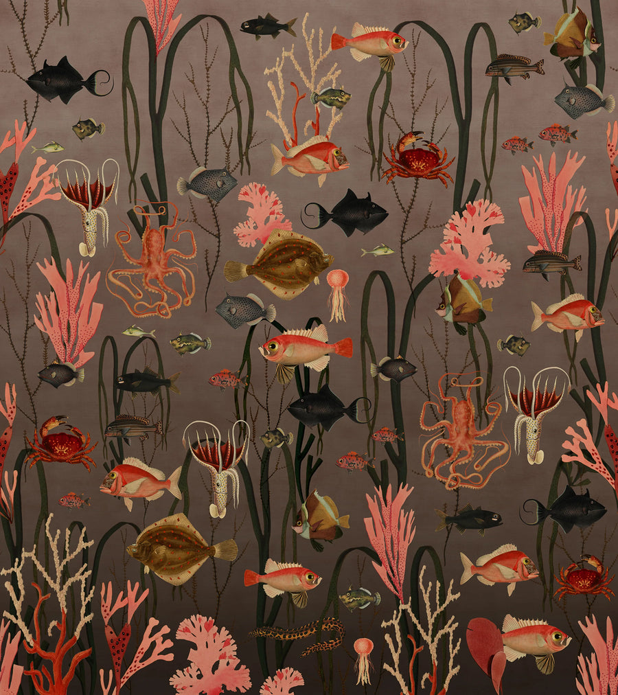 Aquatic Life, Coral Mural Wallpaper