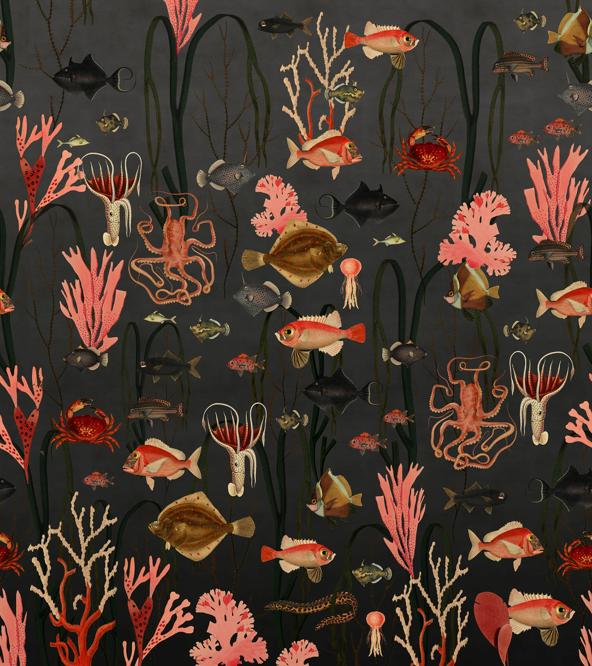 Aquatic Life, Shadows Mural Wallpaper - pure wallpaper artwork