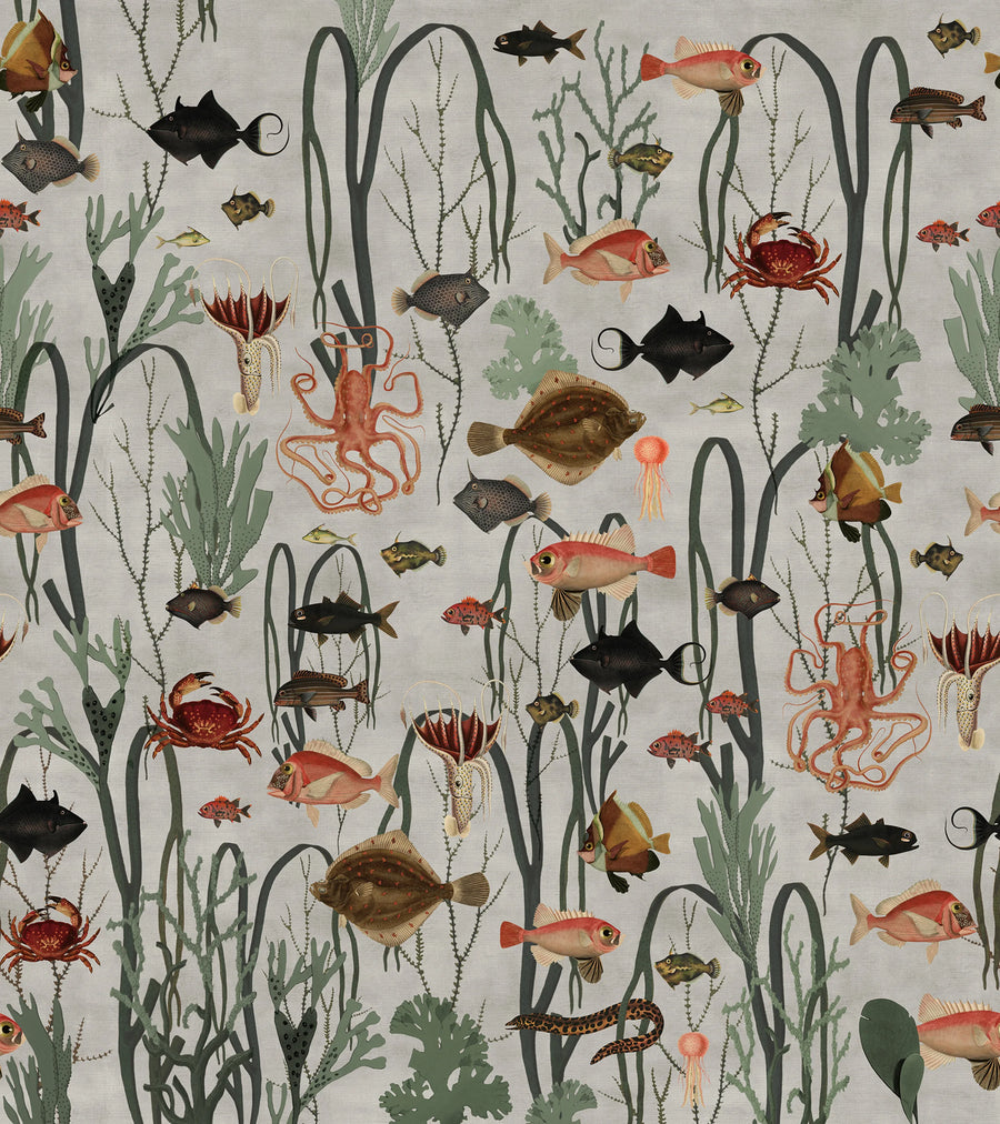 Aquatic Life Mural Wallpaper