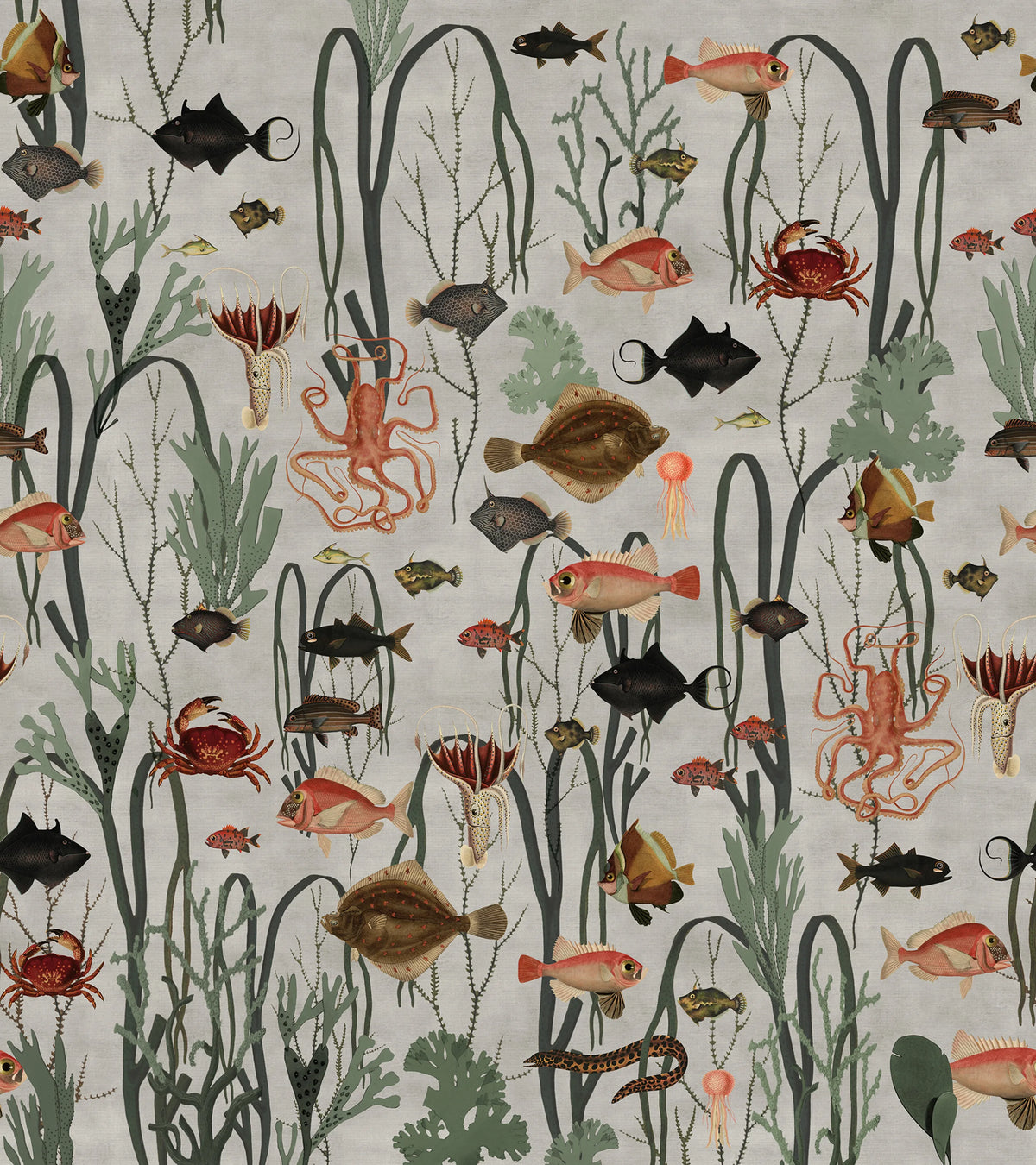 Aquatic Life Mural Wallpaper - pure wallpaper artwork