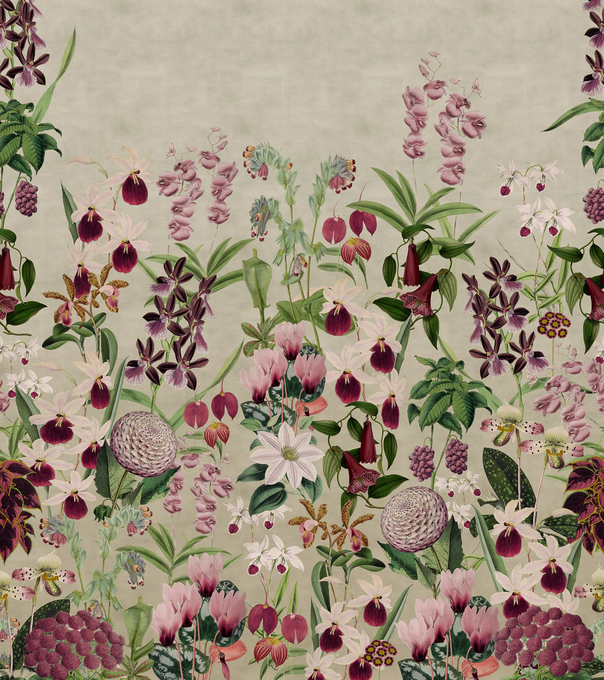Alices Garden Mural Wallpaper - pure wallpaper artwork