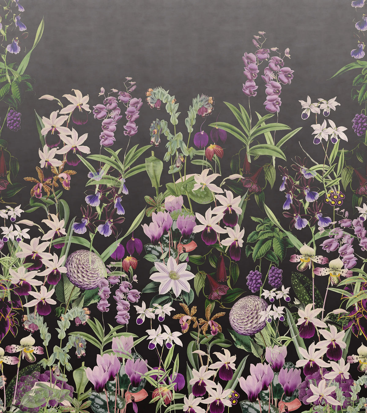 Alices Garden, Midnight Mural Wallpaper - pure wallpaper artwork