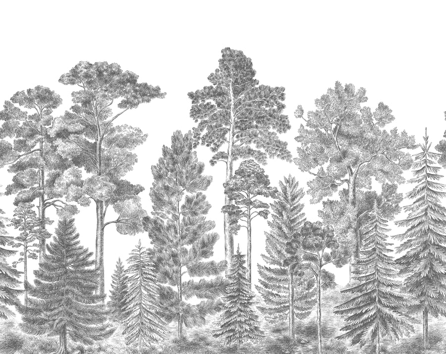 Scandinavian Bellewood, Gray Mural Wallpaper