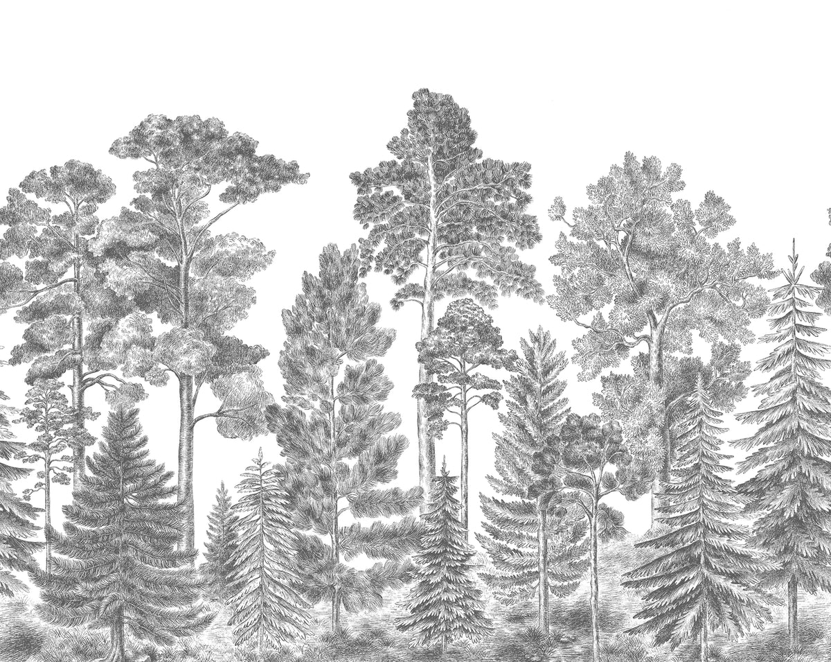 Scandinavian Bellewood, Gray Mural Wallpaper - pure wallpaper artwork