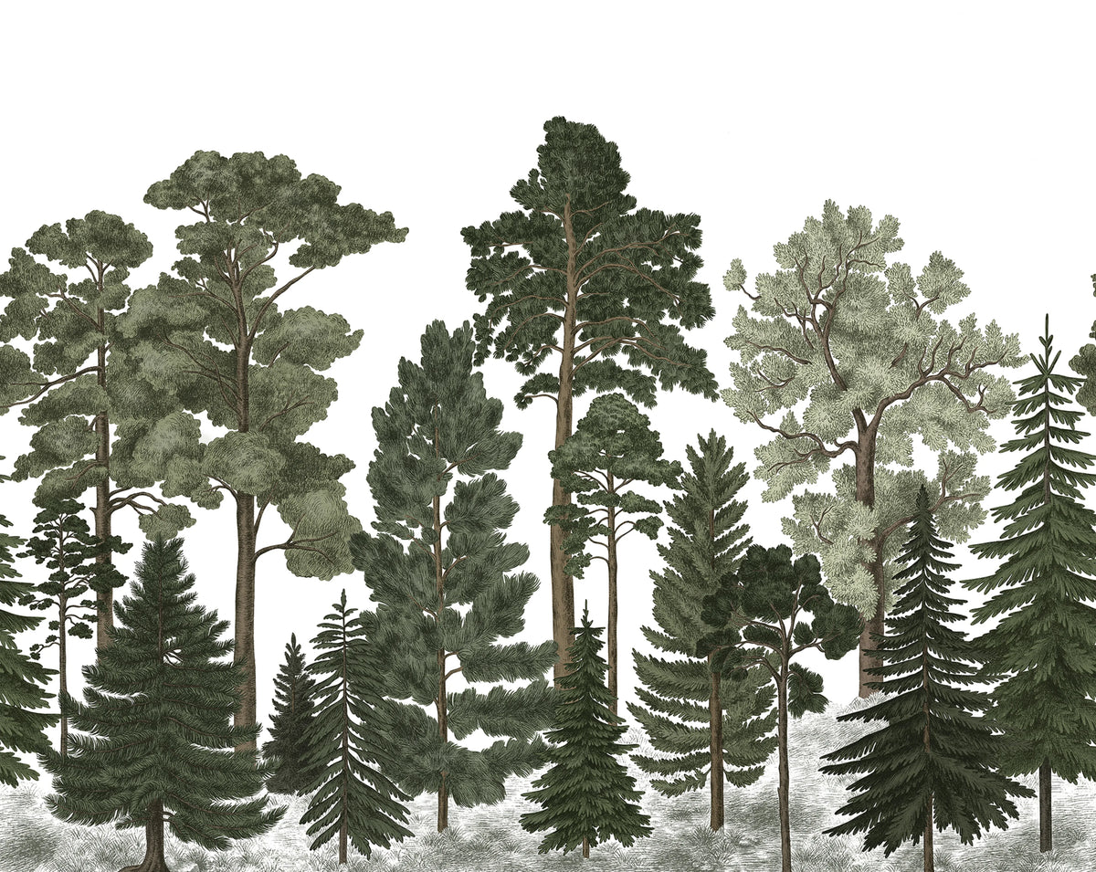 Scandinavian Bellewood Mural Wallpaper - pure wallpaper artwork