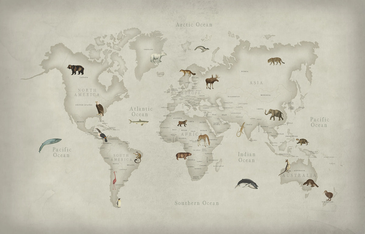 Animal World Mural Wallpaper - pure wallpaper artwork