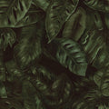 Amazon, Fern Mural Wallpaper - pure wallpaper artwork