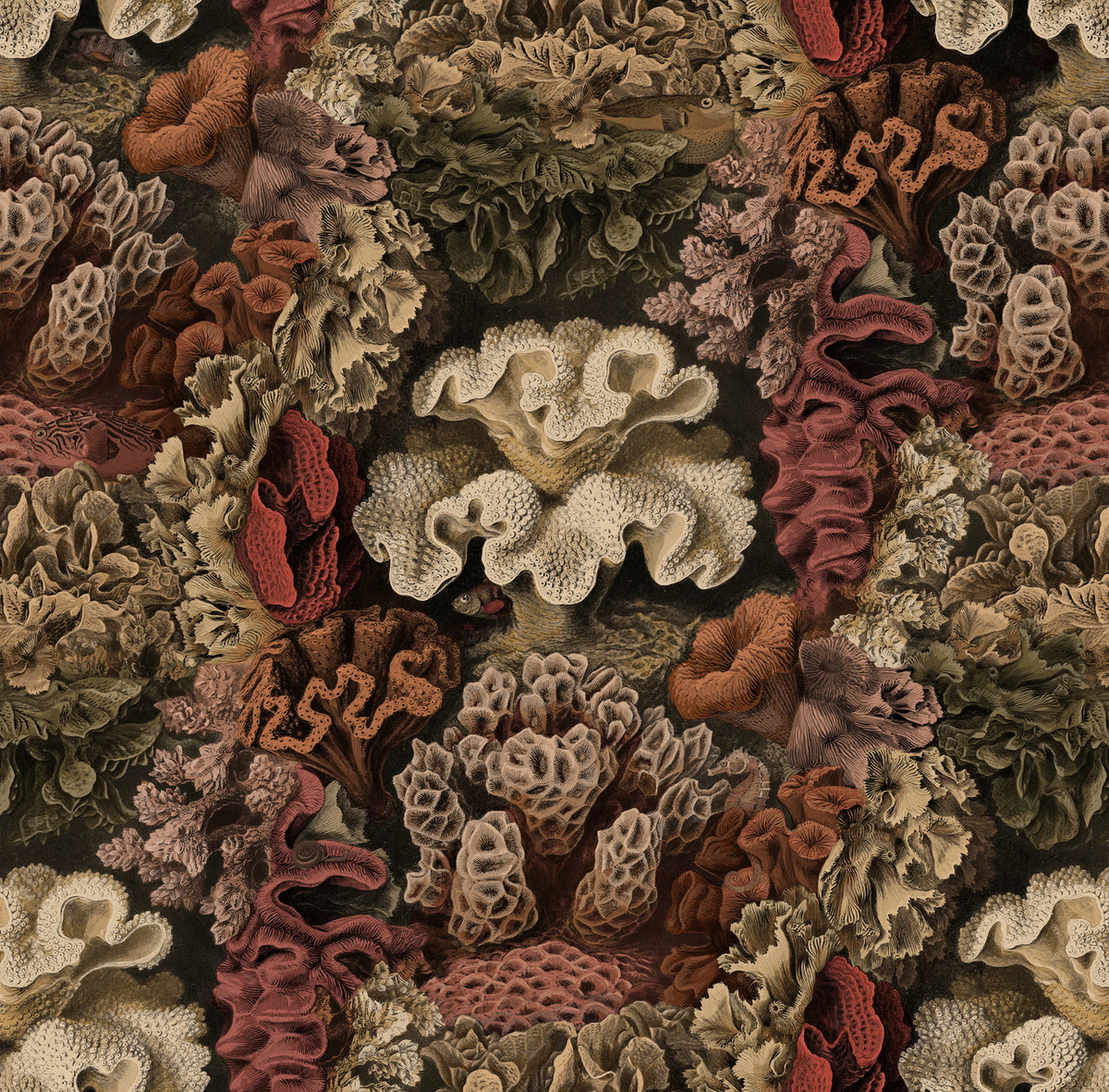 Aquila, Rust Mural Wallpaper - pure wallpaper artwork