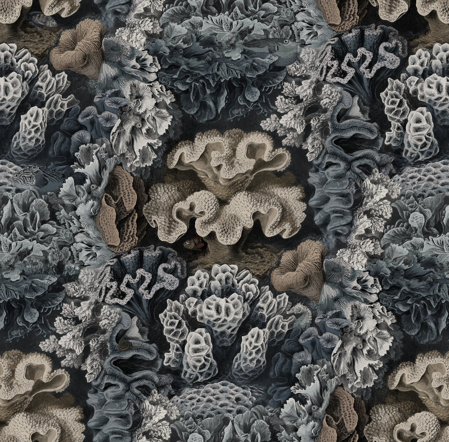 Aquila, Teal Mural Wallpaper