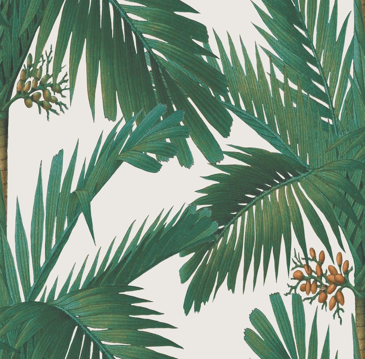 Palm Spring, Pearl Mural Wallpaper - pure wallpaper artwork