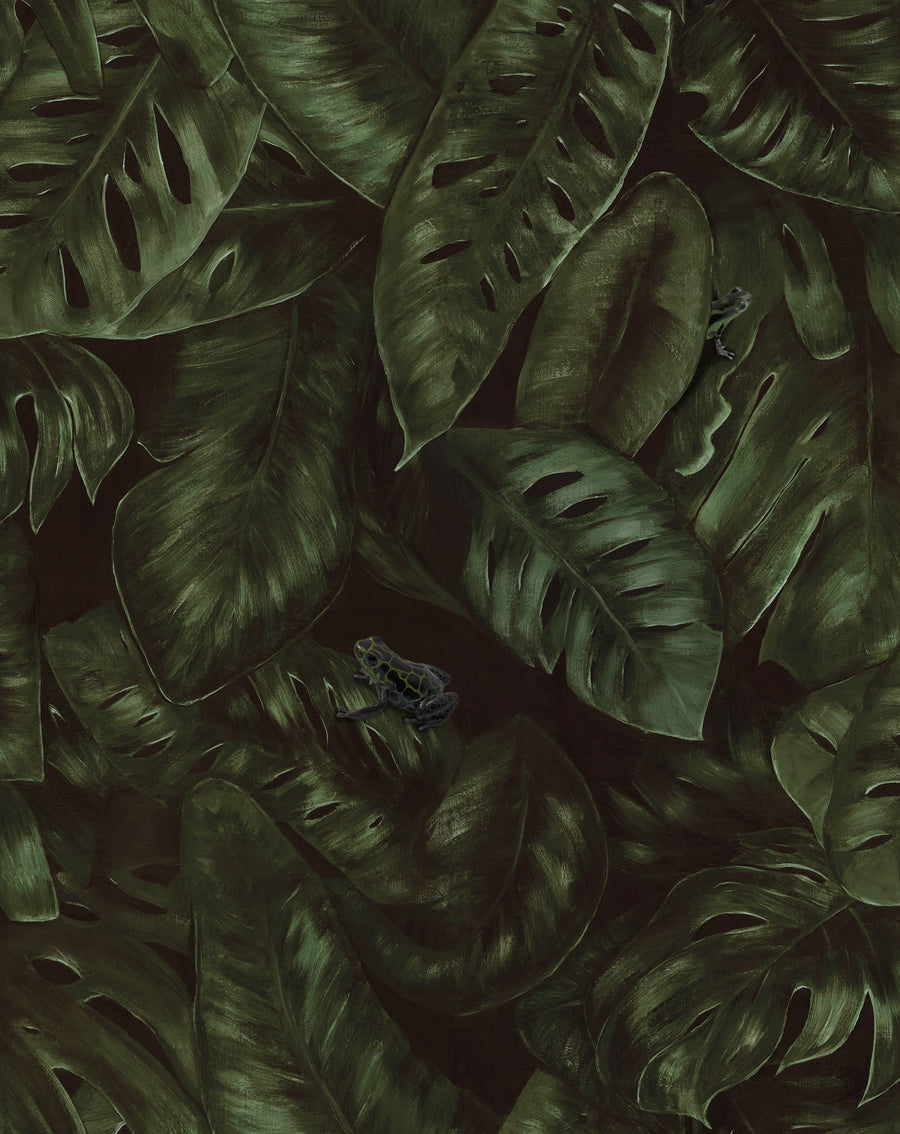 Cameroon, Fern Mural Wallpaper