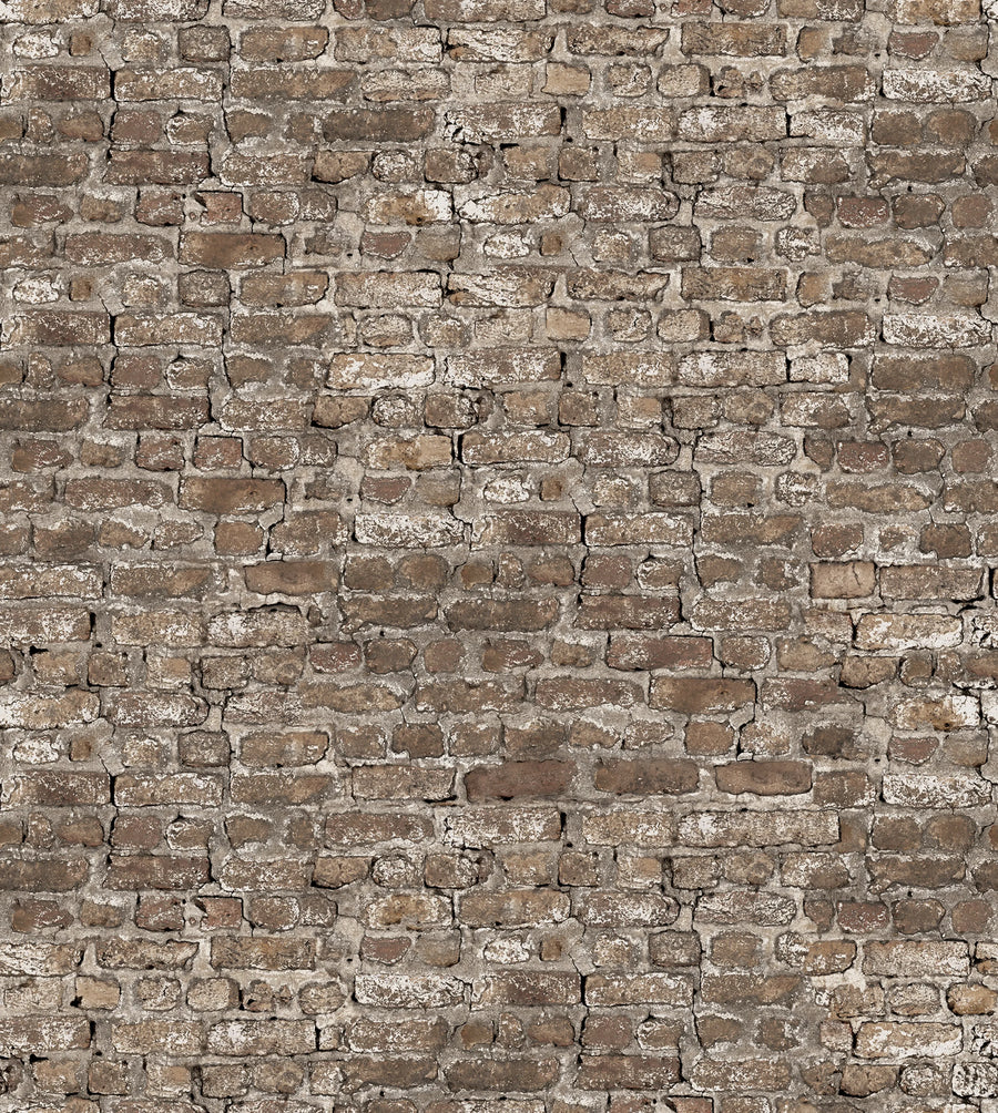 Leiria, Sand Mural Wallpaper