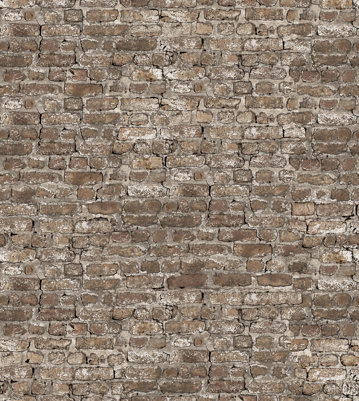 Leiria, Sand Mural Wallpaper - pure wallpaper artwork