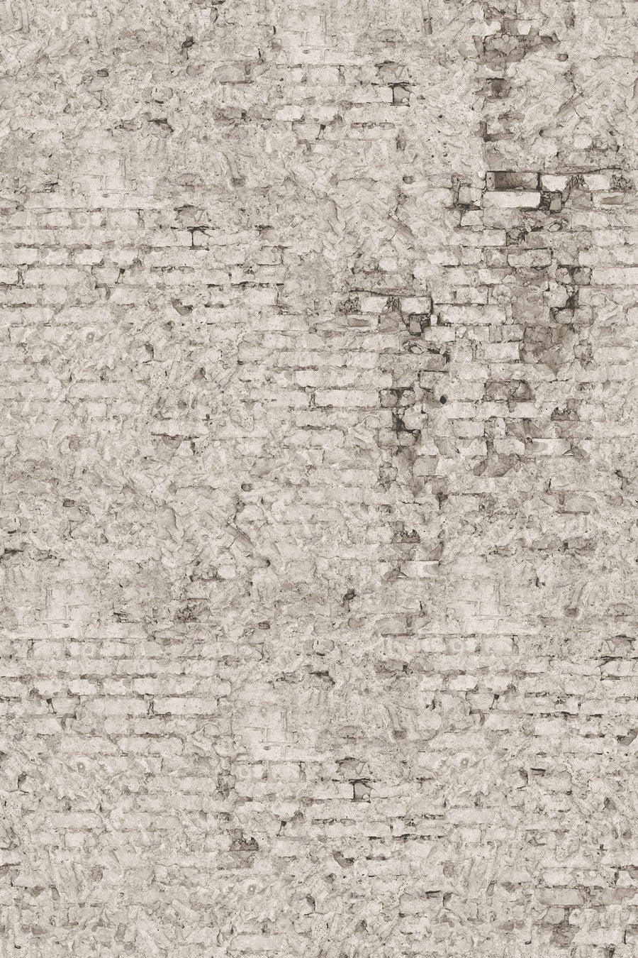 Barcelona, Sand Mural Wallpaper