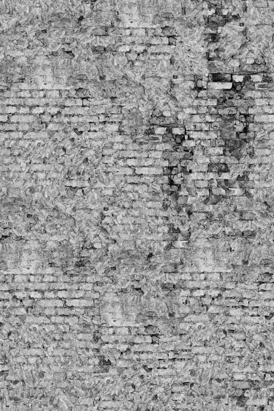 Barcelona, Gray Mural Wallpaper