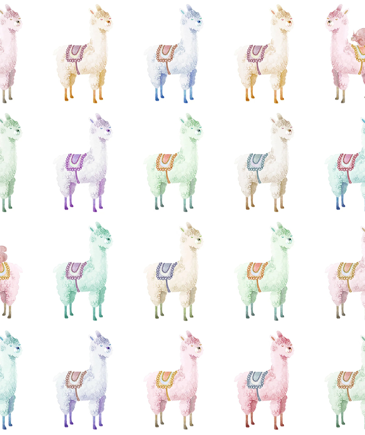 Alpaca Rebel, Rainbow Mural Wallpaper - pure wallpaper artwork