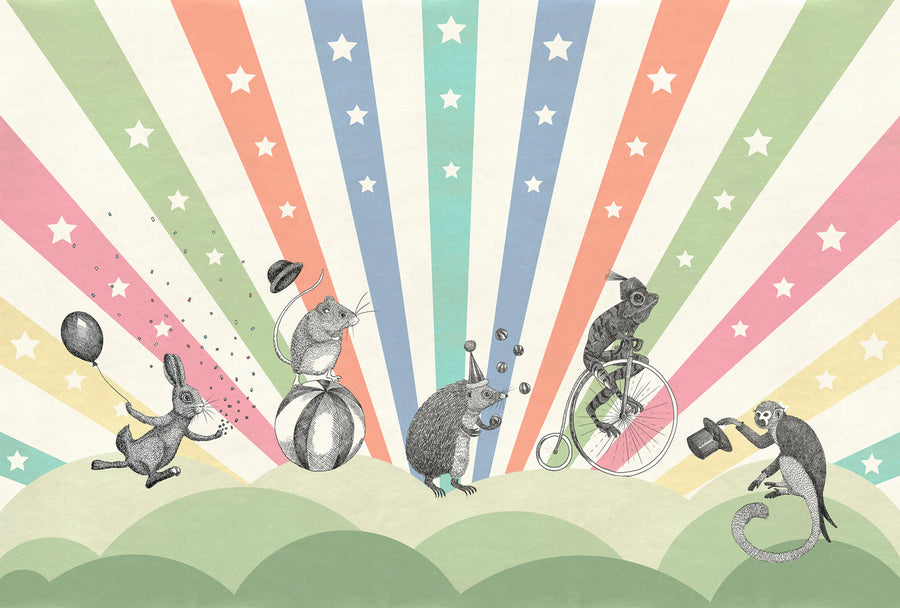 Circus, Rainbow Mural Wallpaper