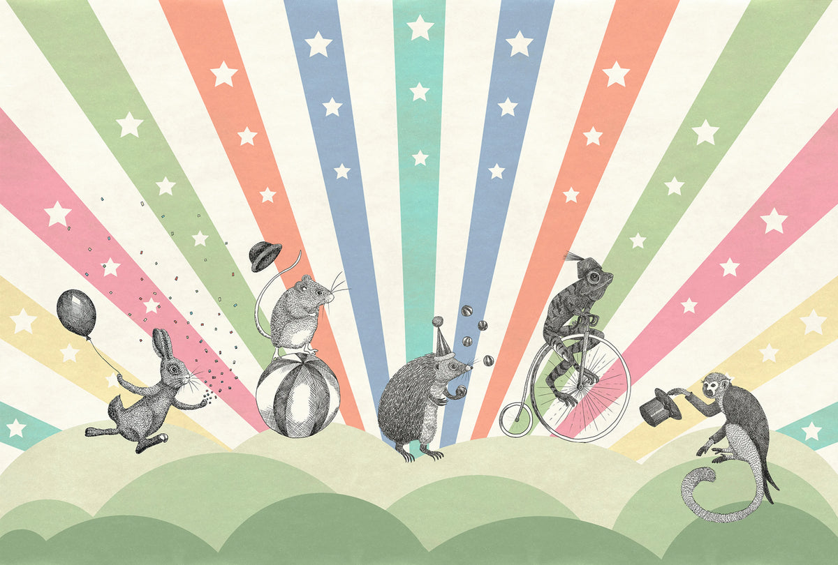 Circus, Rainbow Mural Wallpaper - pure wallpaper artwork