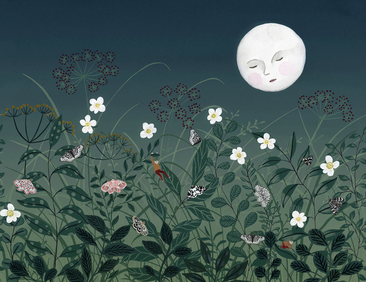 Pixie, Night Mural Wallpaper - pure wallpaper artwork