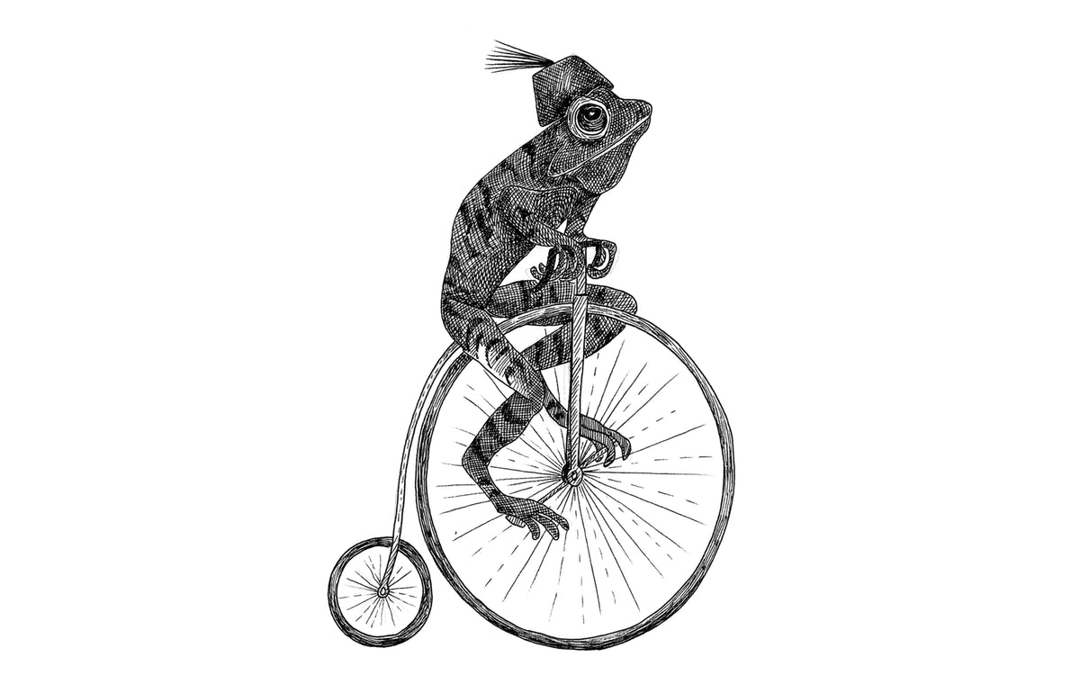 Circus Animal, Franky Mural Wallpaper - pure wallpaper artwork