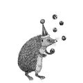 Circus Animal, Iggy Mural Wallpaper - pure wallpaper artwork