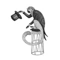 Circus Animal, Mr Monkey Mural Wallpaper - pure wallpaper artwork