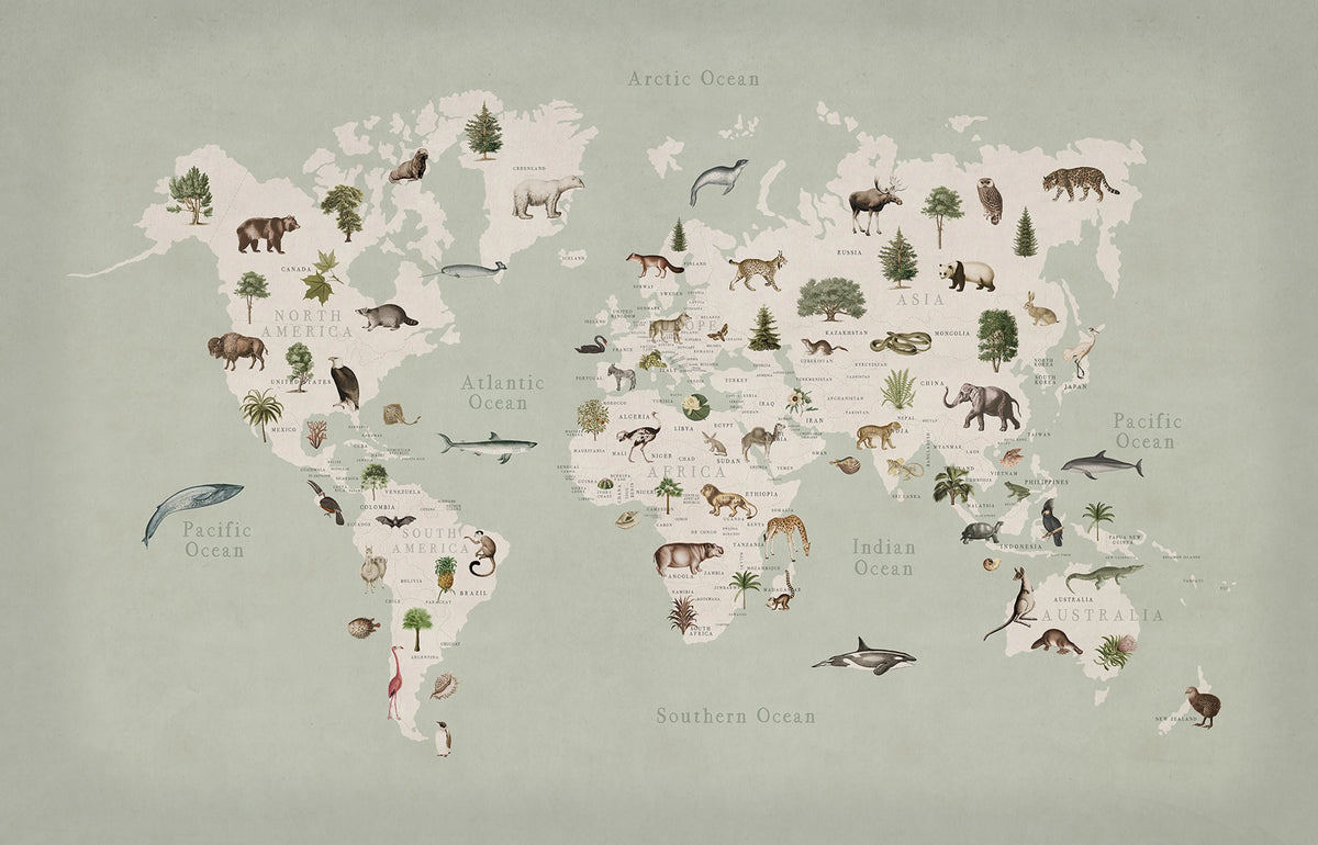 Animal World, Mint Mural Wallpaper - pure wallpaper artwork
