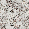 Romberg, Graphite Mural Wallpaper - pure wallpaper artwork