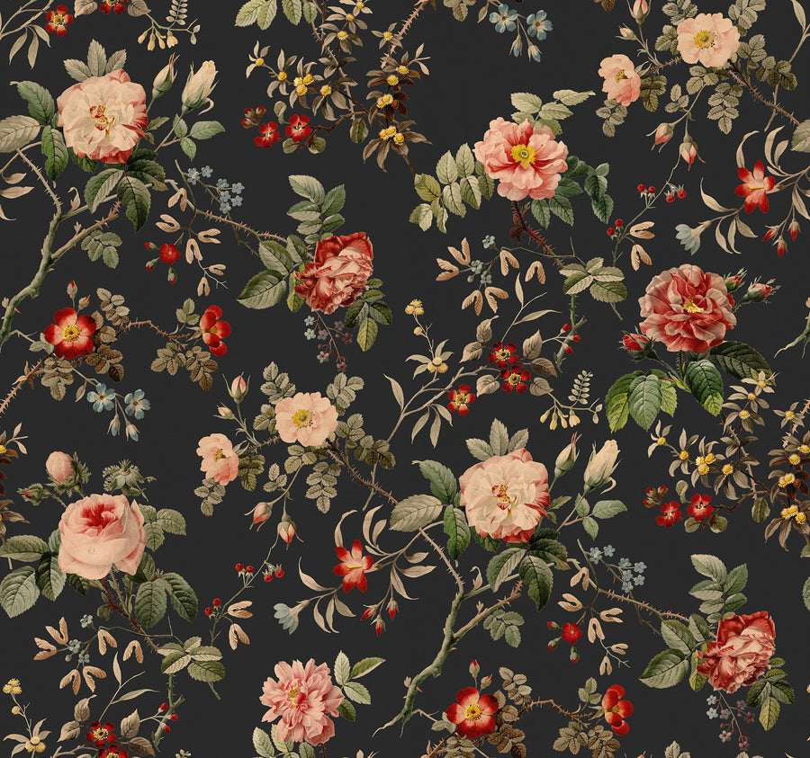 Thorn Rose Petite, Night Light Mural Wallpaper